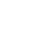 Used Motorcycle