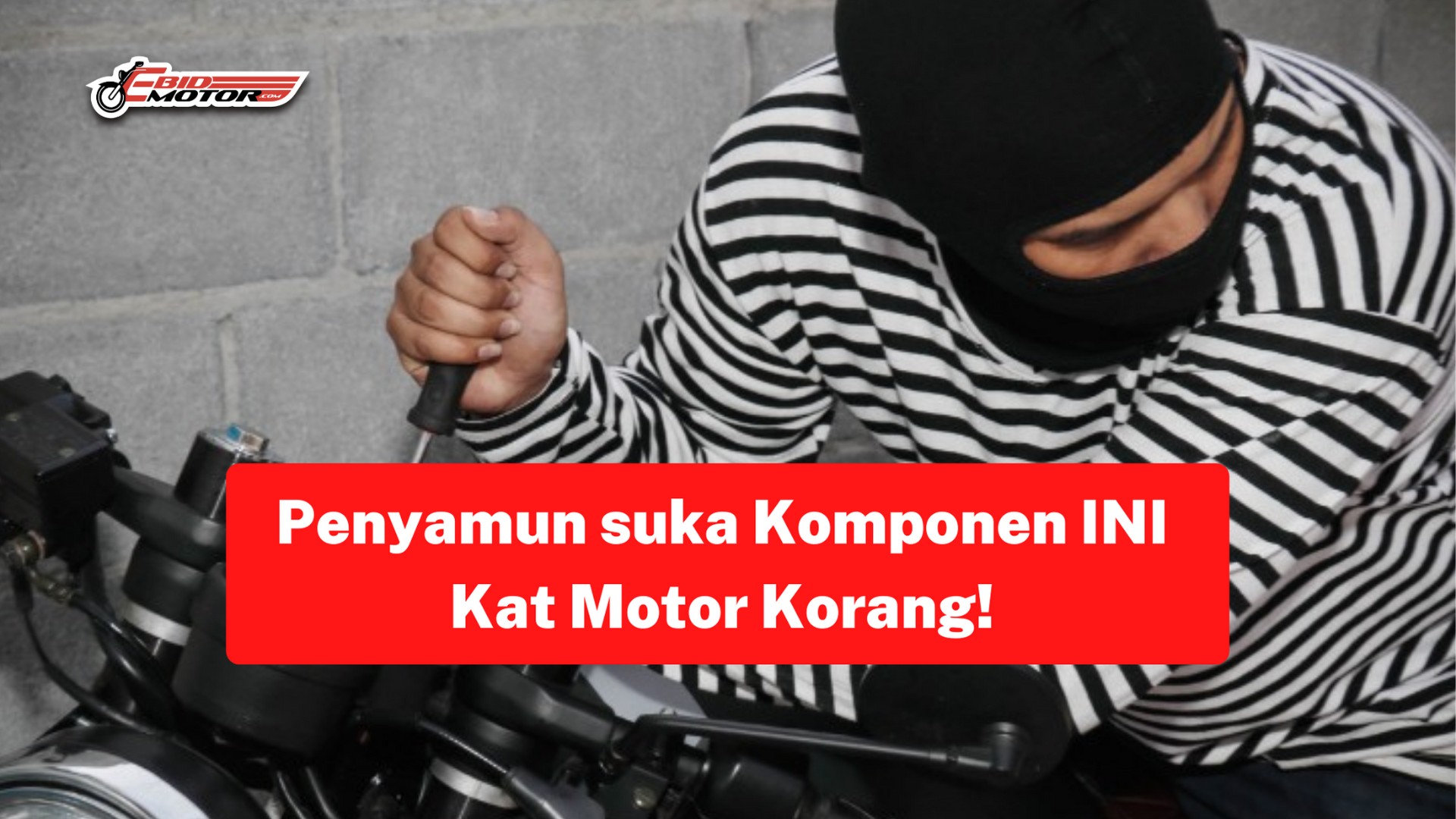 Komponen Motor Yang Selalu DIREMBAT oleh Geng Hobi Mahal